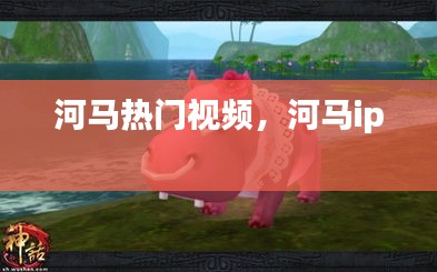 河马热门视频，河马ip 