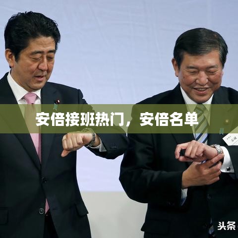 安倍接班热门，安倍名单 