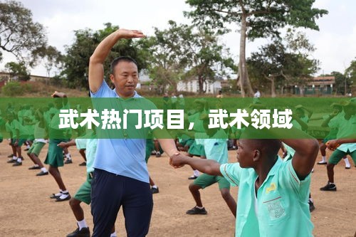 武术热门项目，武术领域 