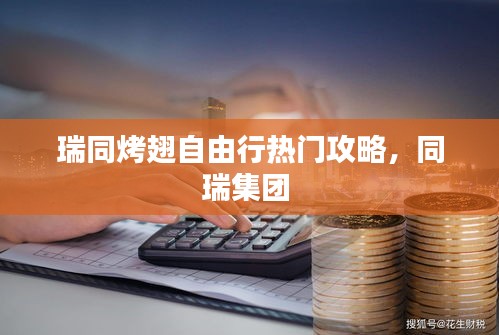 瑞同烤翅自由行热门攻略，同瑞集团 