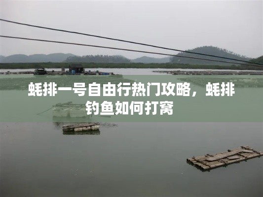 蚝排一号自由行热门攻略，蚝排钓鱼如何打窝 