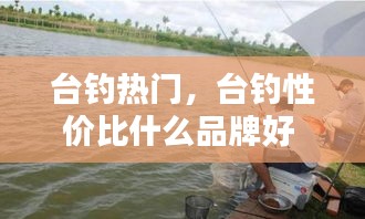 台钓热门，台钓性价比什么品牌好 