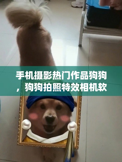 手机摄影热门作品狗狗，狗狗拍照特效相机软件 