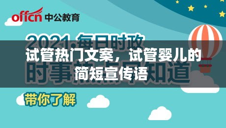 试管热门文案，试管婴儿的简短宣传语 