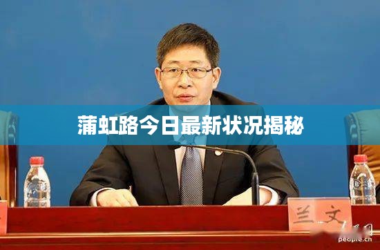 蒲虹路今日最新状况揭秘