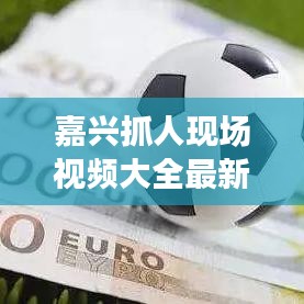 嘉兴抓人现场视频大全最新：嘉兴大案要案实录 