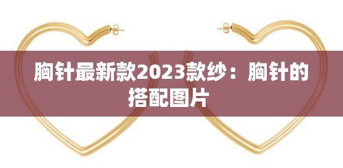胸针最新款2023款纱：胸针的搭配图片 