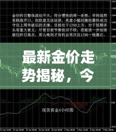 最新金价走势揭秘，今日波动情况及消息速递