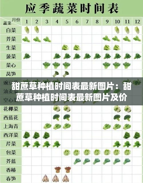 甜蔗草种植时间表最新图片：甜蔗草种植时间表最新图片及价格 