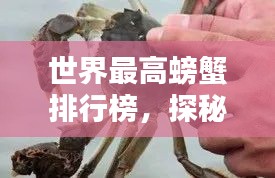 世界最高螃蟹排行榜，探秘蟹界之巅！
