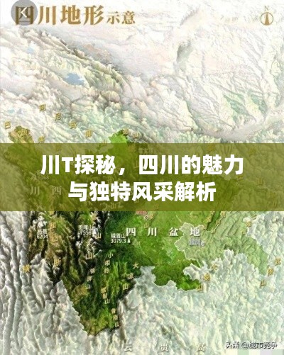 朝飞暮卷 第3页