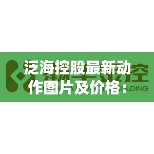 泛海控股最新动作图片及价格：泛海控股股份有限公司 