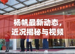 杨帆最新动态，近况揭秘与视频更新速递