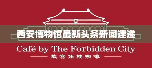 西安博物馆最新头条新闻速递