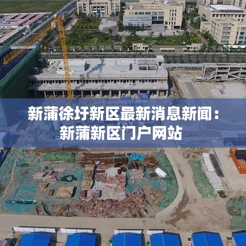 新蒲徐圩新区最新消息新闻：新蒲新区门户网站 