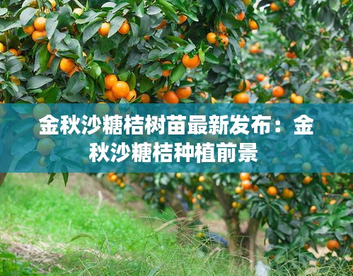 下载中心 第136页