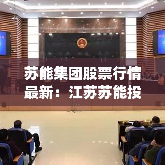 苏能集团股票行情最新：江苏苏能投资集团 