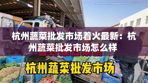 杭州蔬菜批发市场着火最新：杭州蔬菜批发市场怎么样 