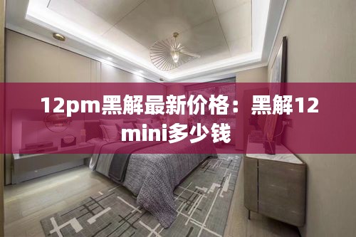 12pm黑解最新价格：黑解12mini多少钱 