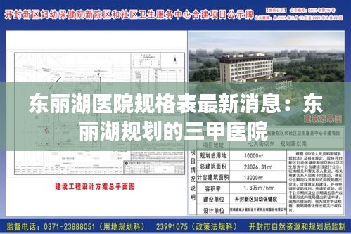 东丽湖医院规格表最新消息：东丽湖规划的三甲医院 