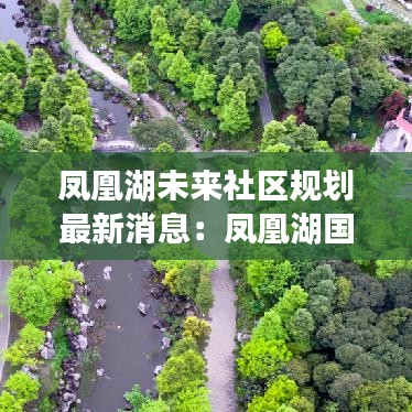 凤凰湖未来社区规划最新消息：凤凰湖国际社区户型图 