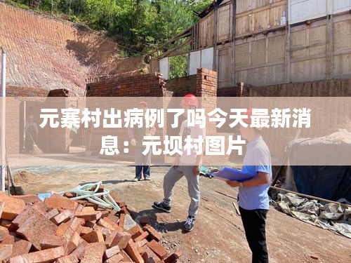 元寨村出病例了吗今天最新消息：元坝村图片 