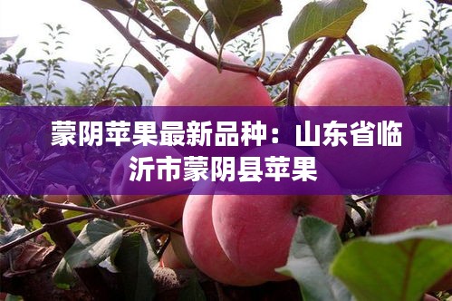 蒙阴苹果最新品种：山东省临沂市蒙阴县苹果 