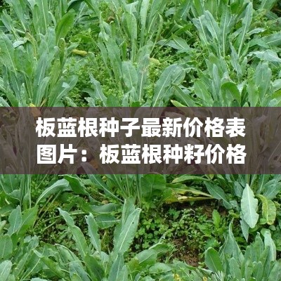 花成蜜就 第2页