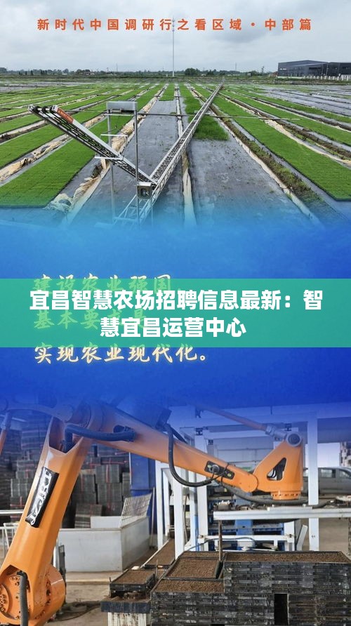 宜昌智慧农场招聘信息最新：智慧宜昌运营中心 