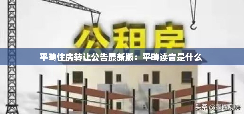 平畴住房转让公告最新版：平畴读音是什么 