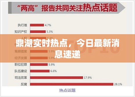 鼎湖实时热点，今日最新消息速递