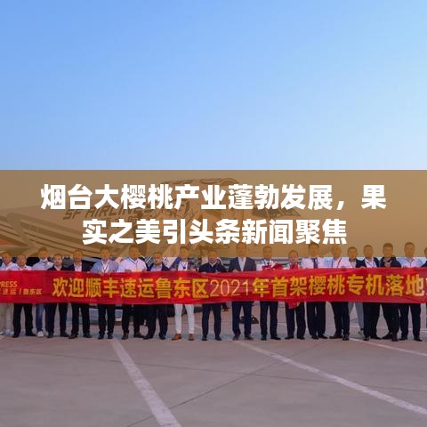 烟台大樱桃产业蓬勃发展，果实之美引头条新闻聚焦