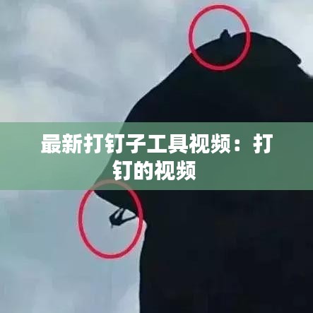 最新打钉子工具视频：打钉的视频 