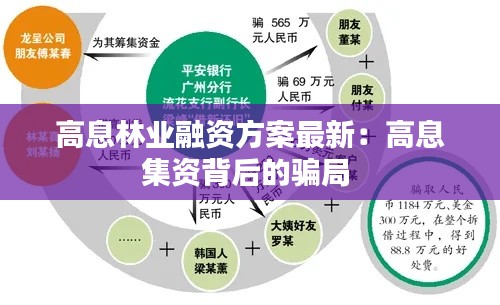 高息林业融资方案最新：高息集资背后的骗局 
