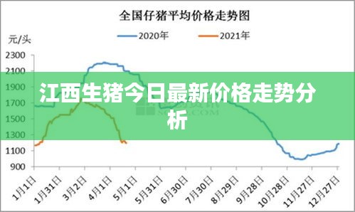 江西生猪今日最新价格走势分析