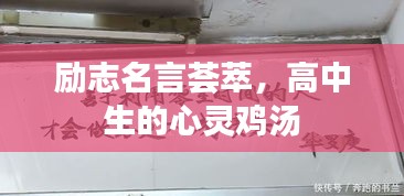 勇往直前 第2页