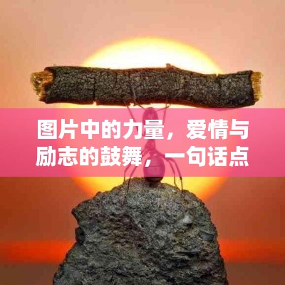 图片中的力量，爱情与励志的鼓舞，一句话点亮心灵之光