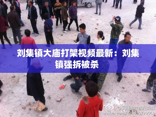 刘集镇大庙打架视频最新：刘集镇强拆被杀 