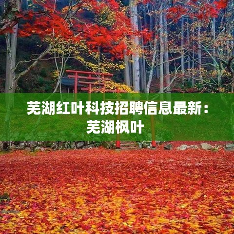 芜湖红叶科技招聘信息最新：芜湖枫叶 