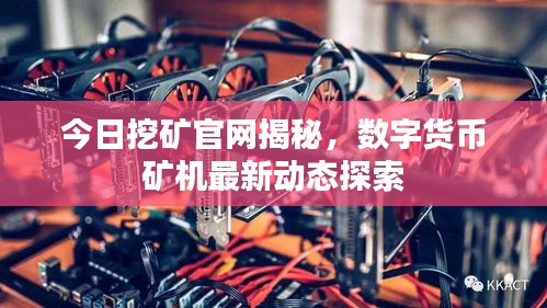 飞箭如蝗 第3页