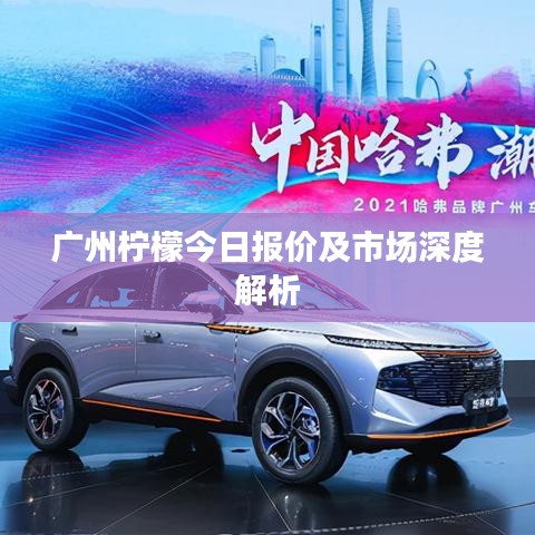 广州柠檬今日报价及市场深度解析