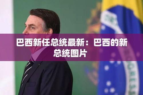 巴西新任总统最新：巴西的新总统图片 