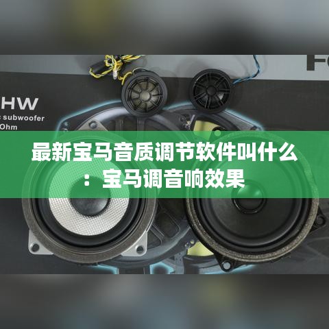 最新宝马音质调节软件叫什么：宝马调音响效果 