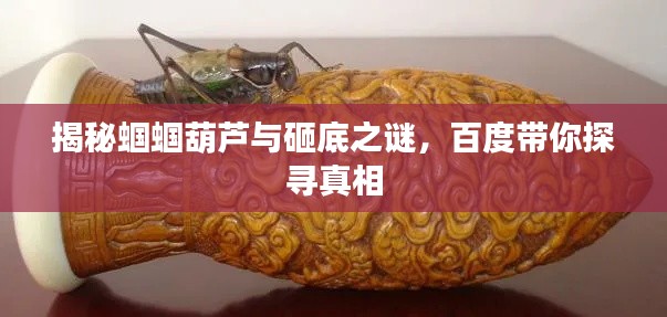 揭秘蝈蝈葫芦与砸底之谜，百度带你探寻真相