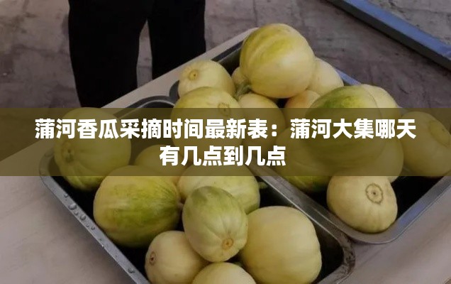 蒲河香瓜采摘时间最新表：蒲河大集哪天有几点到几点 