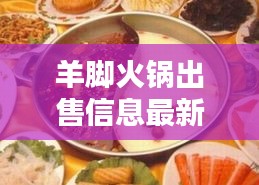羊脚火锅出售信息最新：羊脚批发 