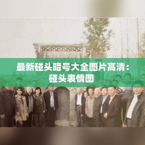 最新碰头暗号大全图片高清：碰头表情图 