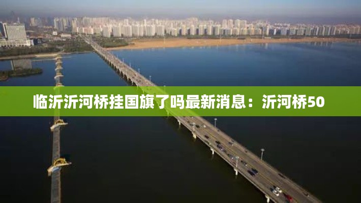 临沂沂河桥挂国旗了吗最新消息：沂河桥50 