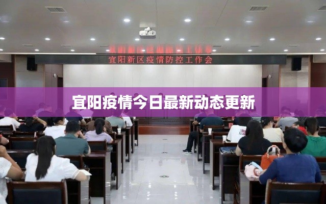 宜阳疫情今日最新动态更新