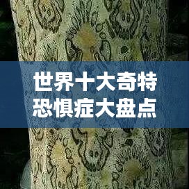 世界十大奇特恐惧症大盘点，你中了几个？
